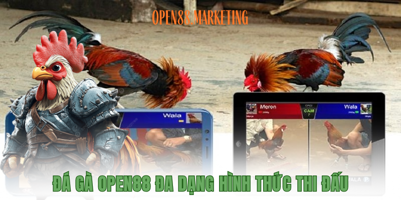 Đá Gà OPEN88 – Giải Trí Trực Tuyến Đang Bùng Nổ Tại Châu Á