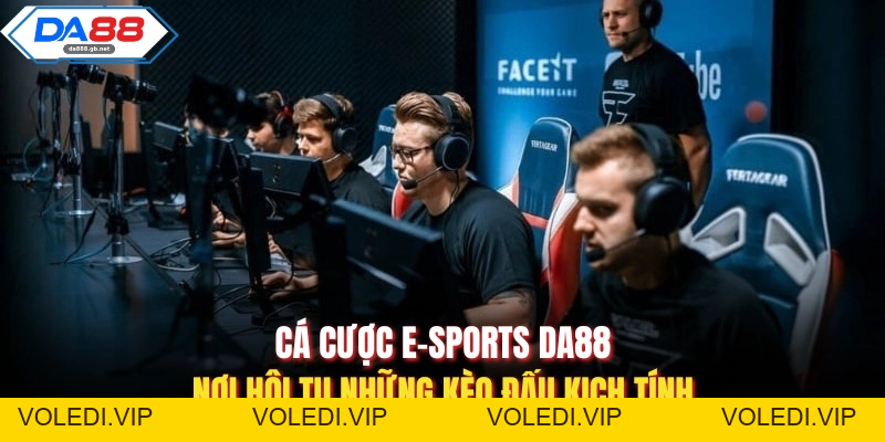 Cược Chấp Là Gì? Hướng Dẫn Cách Đọc Kèo Chuẩn Xác Cho Newbie