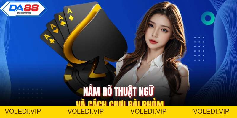 Cách Chơi Bài Phỏm| Hướng Dẫn Từ Cơ Bản Đến Nâng Cao